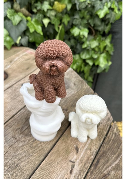 Poodle ( Köpek ) Mum Kalıbı (Silikon)