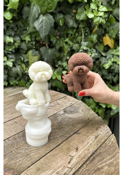 Poodle ( Köpek ) Mum Kalıbı (Silikon)