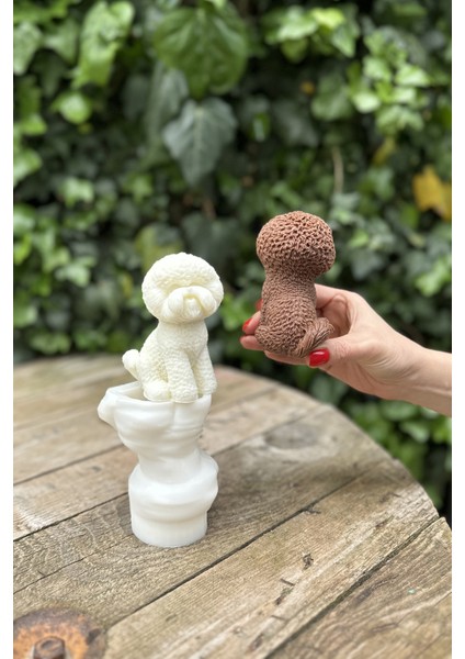 Poodle ( Köpek ) Mum Kalıbı (Silikon)
