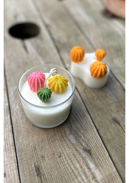 Ball Mini Üçlü Sukulent Mum Kalıbı (Silikon) modelleri