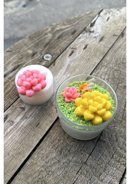 Obtusa Sukulent Mum Kalıbı ( Silikon ) modelleri