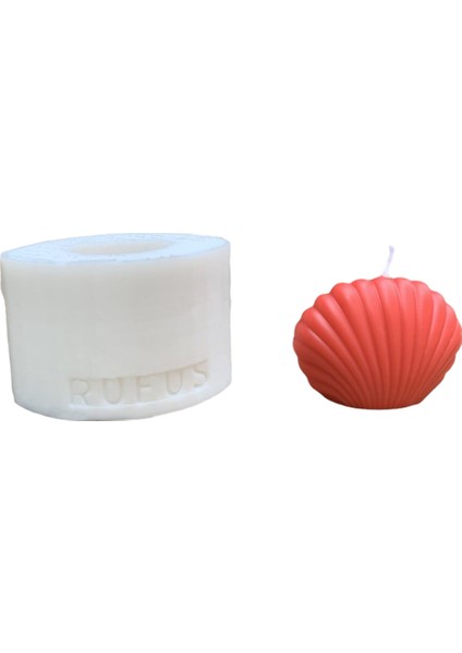 Deniz Kabuğu 3D Mum Kalıbı ( Silikon ) fiyatları