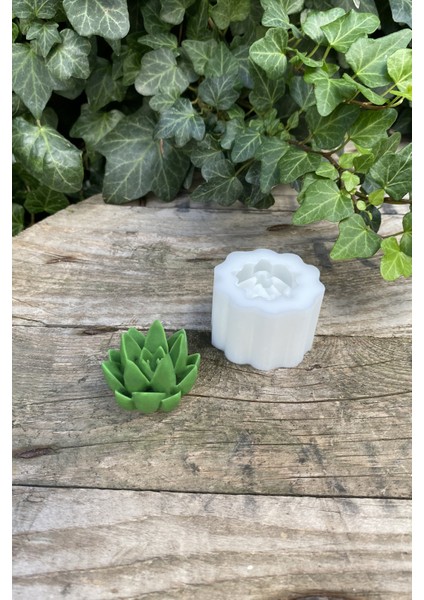 Agavoides Sukulent Mum Kalıbı ( Silikon )