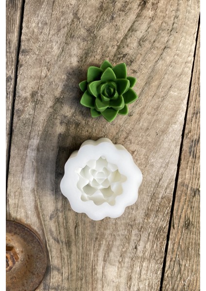Agavoides Sukulent Mum Kalıbı ( Silikon ) fiyatları