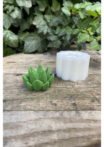 Agavoides Sukulent Mum Kalıbı ( Silikon ) modelleri