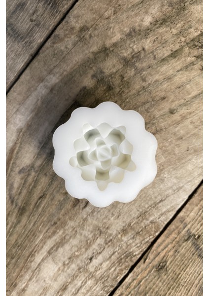 Agavoides Sukulent Mum Kalıbı ( Silikon ) fırsatları