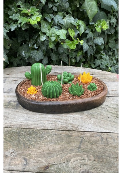 Agavoides Sukulent Mum Kalıbı ( Silikon ) indirimleri