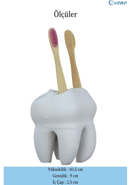 Diş Fırçalığı Tezgah Üstü Beyaz Renk Diş Fırçası Standı Diş Şekilli Model fiyatları