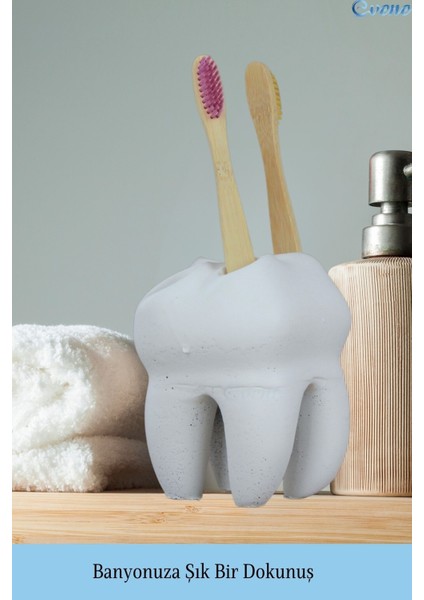 Diş Fırçalığı Tezgah Üstü Beyaz Renk Diş Fırçası Standı Diş Şekilli Model indirimleri