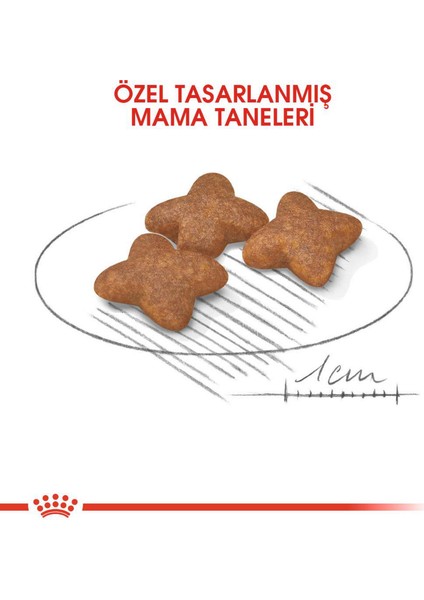 Mini Adult Köpek Maması - 2 kg