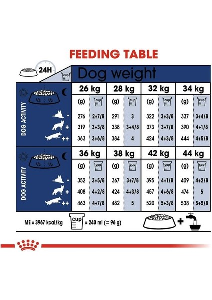 Maxi Adult Kuru Köpek Maması 15 kg fırsatları