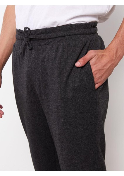 Basic Standart Kalıp Beli Lastikli Erkek Şort