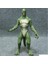 Lizard Biblo 1
