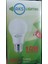 10W LED Ampul 1