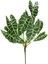 Yapay Alocasia Demeti 65 cm 1