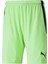 Teamliga Shorts Erkek Futbol Şortu 70492420 Yeşil 1