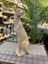 DEKORATİF43 cm Puma,dekoratiflüks Çita ,dekoratif Biblo 1