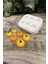Kabak Mini Altılı Mum Kalıbı ( Silikon ) 2