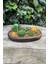 Agavoides Sukulent Mum Kalıbı ( Silikon ) 5