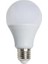CT-4274 Günışığı 15W 10 Adet 1