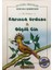Kuranı Kerimden Hikayeler, Karınca Ordusu - Güçlü Cin, Tebessüm Yay. 1