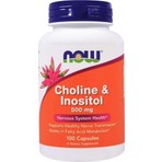 Now Choline & Inositol 500mg 100 Veg Capsul