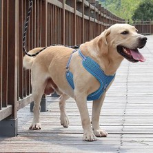 Qixun Göğüs Kayışı Yansıtıcı Patlama Geçirmez Polyester Evcil Köpek Çekiş Ipi Yürüme Için (Yurt Dışından)