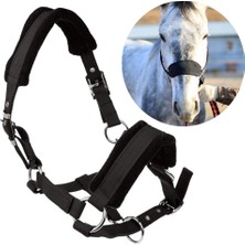 Kabuklu Cob Horse Bridle Binicilik Kafa Yaka Kayışı Ekipmanları (Yurt Dışından)