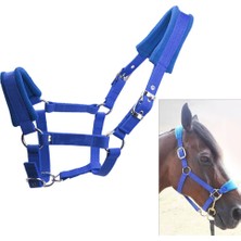 Kabuklu Cob Horse Bridle Binicilik Kafa Yaka Kayışı Ekipmanları (Yurt Dışından)