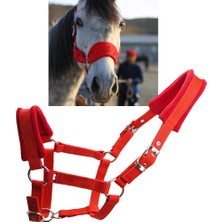 At Horse Halter Dizisi Başlık Baş Yaka Kayışı Kararlı Koruyucu (Yurt Dışından)