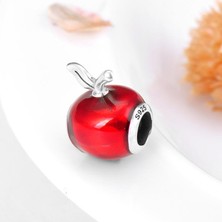 Karm Mücevher Ticaret 925 Ayar Gümüş Charm (Red Apple)