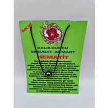 Gümüştel El Sanatları Balık Burcu Hematit Taşı Doğal Taş Kolye