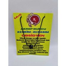 Gümüştel El Sanatları Akrep Burcu Obsidyen Taşı Doğal Taş Kolye