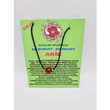 Gümüştel El Sanatları Balık Burcu Turuncu Akik Taşı Doğal Taş Kolye