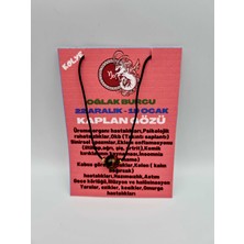 Gümüştel El Sanatları Oğlak Burcu Kaplan Gözü Taşı Doğal Taş Kolye