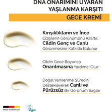 VITAYES Yaşlanma Karşıtı Yoğun Nemlendirici Gece Kremi - Dna Onarım Mekanizmasını Uyaran Etkili Formül 50ml