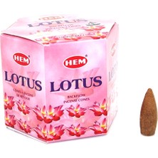 Heynoid Hem Lotus Backflow Cones Tütsü