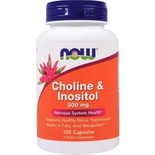 Now Choline & Inositol  500mg 100 Veg Capsul