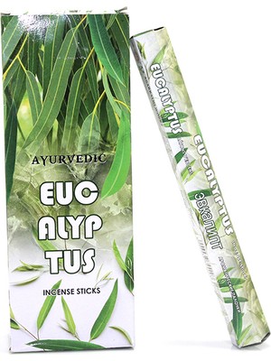 Heynoid Ayurvedıc Eucalyptus (Hx) Tütsü