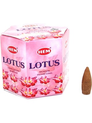 Heynoid Hem Lotus Backflow Cones Tütsü