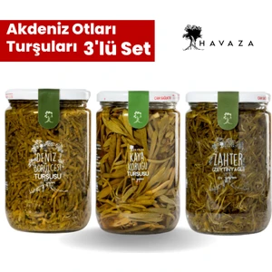 Akdeniz Otları Turşuları Deniz Börülcesi,kaya Koruğu,yağlı Zahter 720 G(Ev Yapımı,ekonomik)