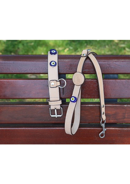 Patara Collection Deri Köpek Boyun Tasması