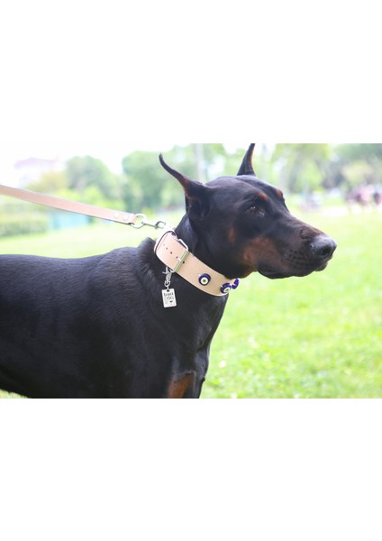 Patara Collection Deri Köpek Boyun Tasması