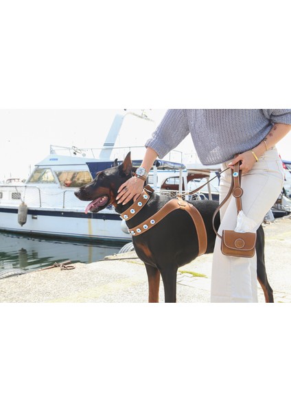 Avanos Collection Deri Köpek Vücut Tasması
