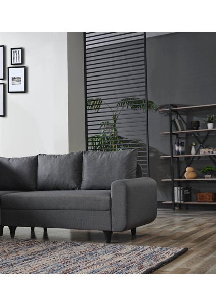 Eviana Corner Flavia Plus Berjerli Köşe Takımı modelleri