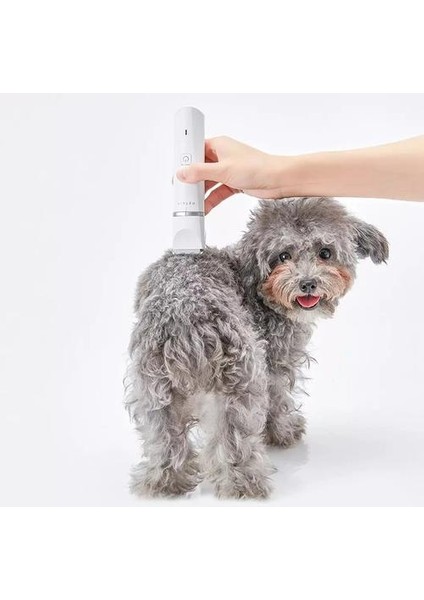 Profesyonel Köpek Kedi Tıraş Makinesi (Yurt Dışından)