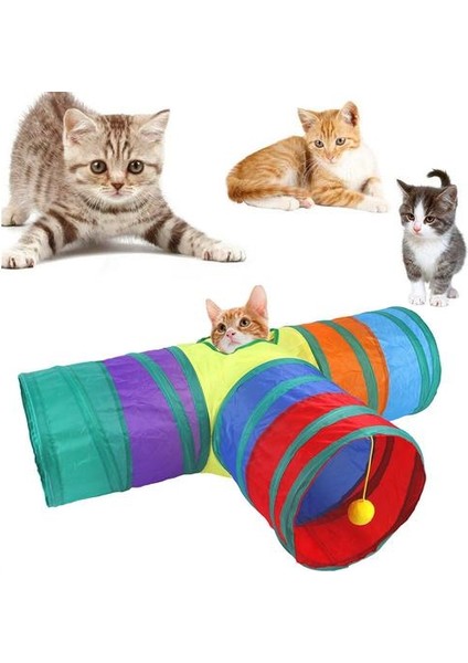 3 Yollu Kapalı Kedi Tüneli (Yurt Dışından)