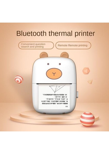 Bluetooth Mini Termal Yazıcı (Yurt Dışından)