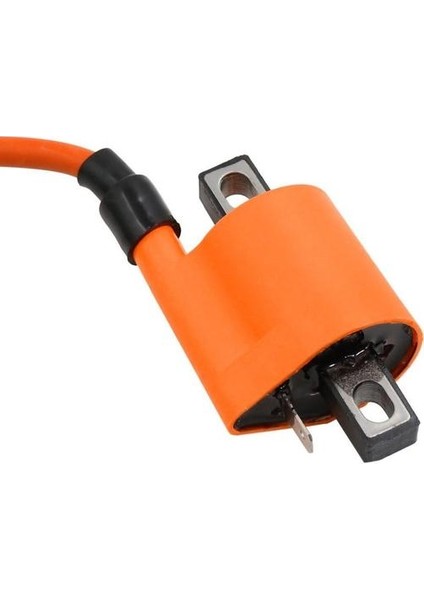 Cg 125 CG200 Için Motor Ateşleme Bobini ve D8TC Buji (Yurt Dışından) modelleri