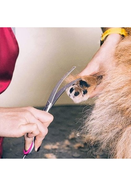 6 Inç Pet Bakım Köpek Saç Makas Seti (Yurt Dışından)